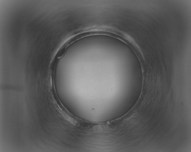 X0000067491368200604211648