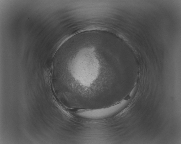 X0000067491369200604211648