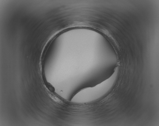 X0000067491372200604211648