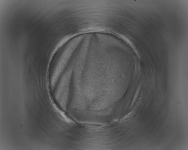 X0000067491373200604211648