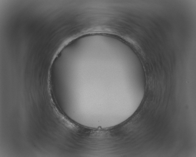 X0000067491374200604211648