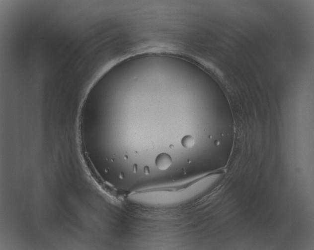 X0000067491375200604211648