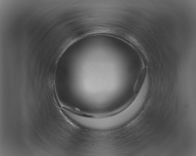 X0000067491377200604211648