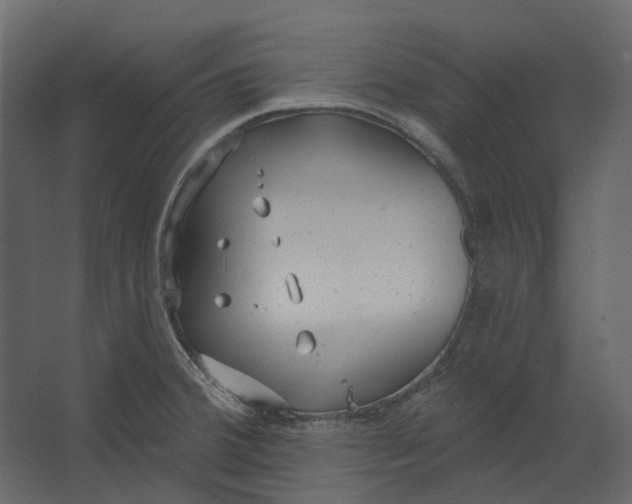 X0000067491380200604211648