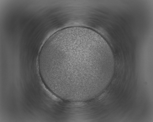 X0000067491382200604211648