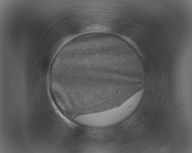 X0000067491383200604211648