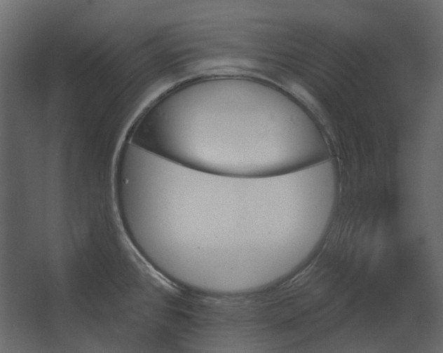 X0000067491384200604211648