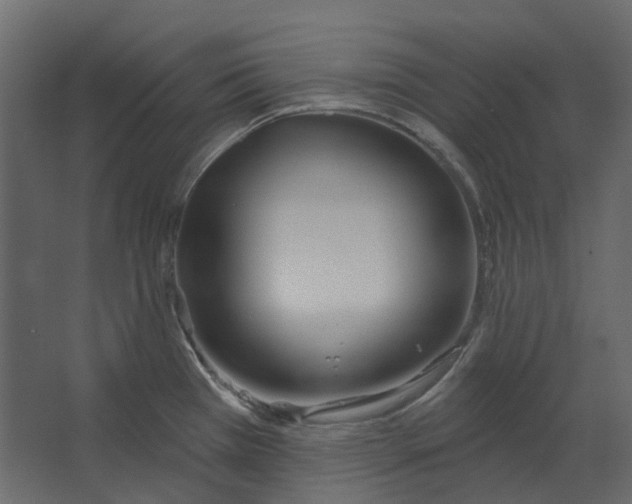 X0000067491385200604211648