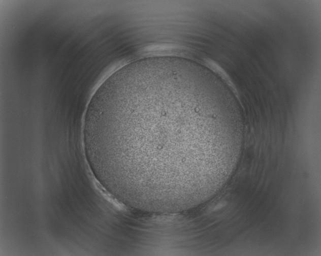 X0000067491386200604211648