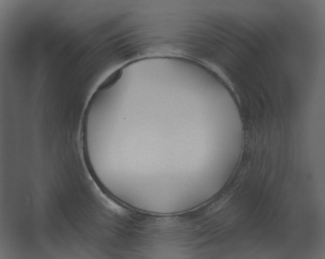 X0000067491387200604211648