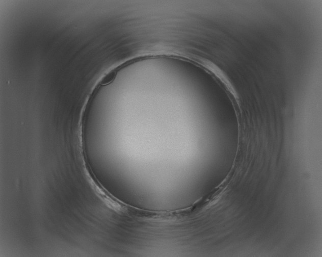 X0000067491388200604211648