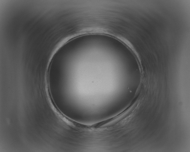 X0000067491389200604211647