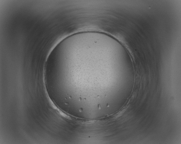 X0000067491390200604211647