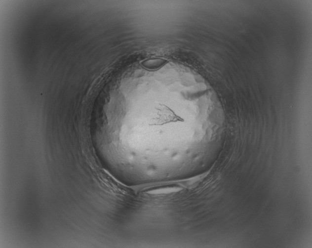 X0000067491393200604211647