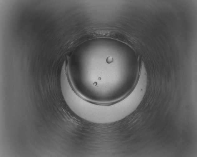 X0000067491394200604211647