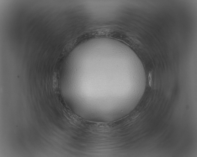 X0000067491395200604211647