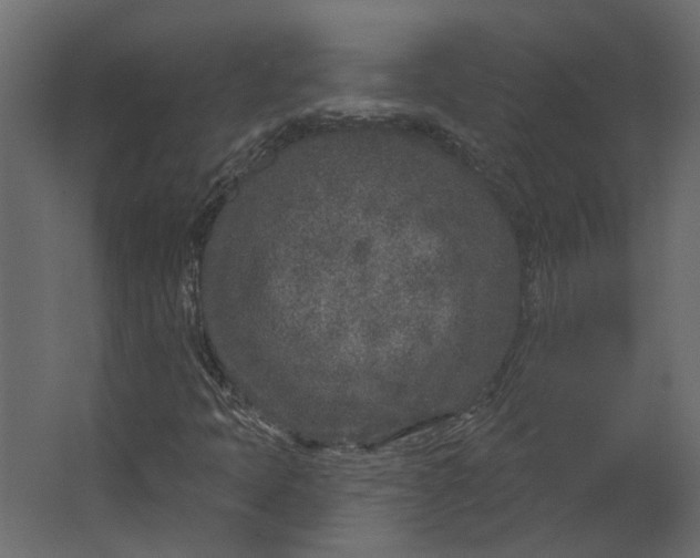 X0000067491397200604211647