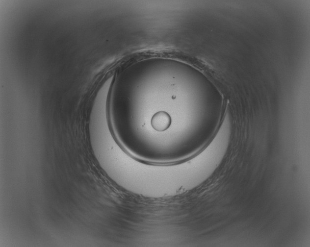 X0000067491398200604211647