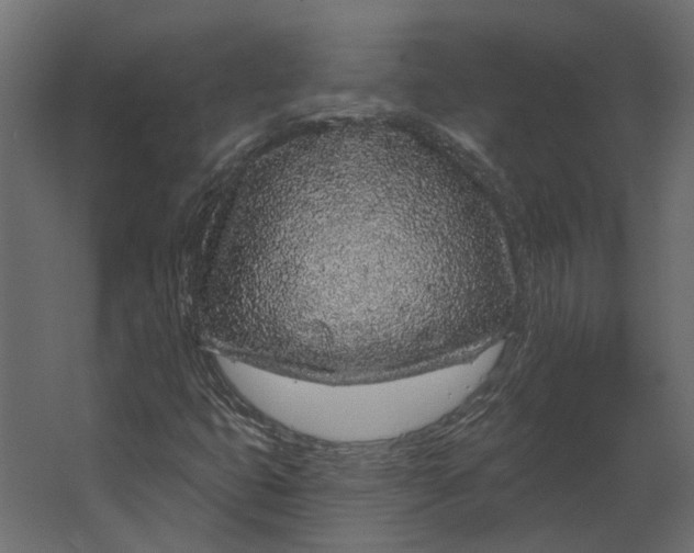 X0000067491399200604211647