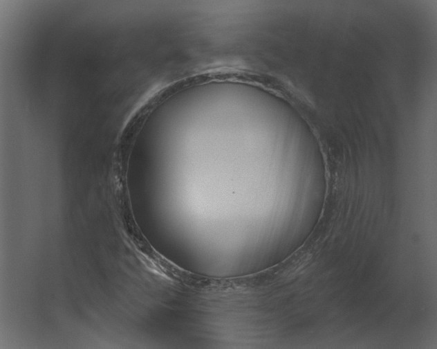 X0000067491400200604211647