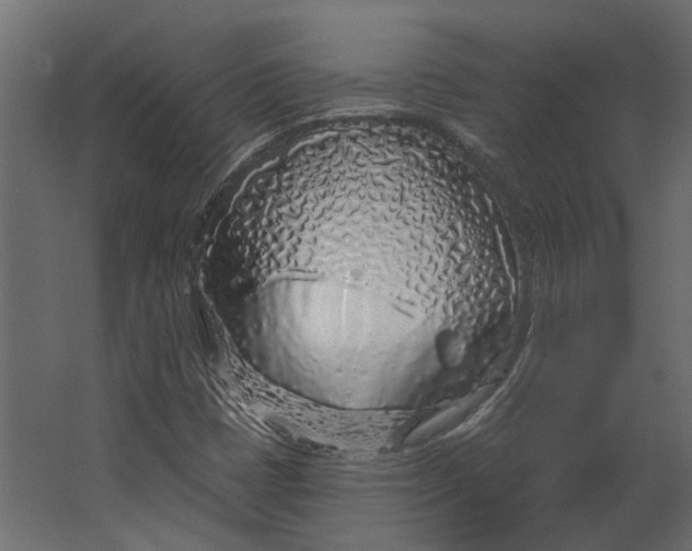 X0000067491401200604211647