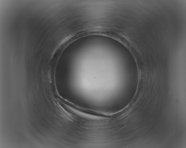 X0000067491402200604211647