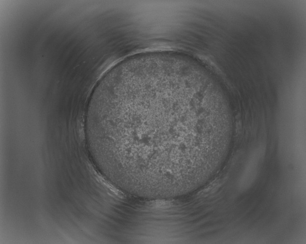 X0000067491409200604211647