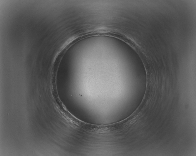 X0000067491410200604211647