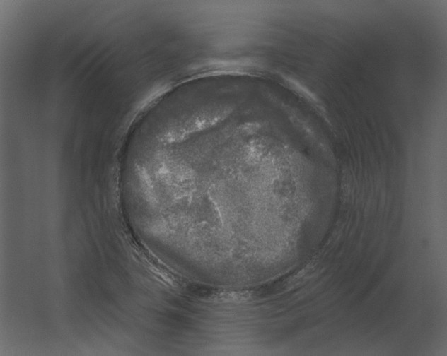 X0000067491411200604211647