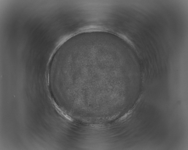 X0000067491413200604211647