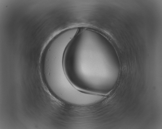 X0000067491414200604211647