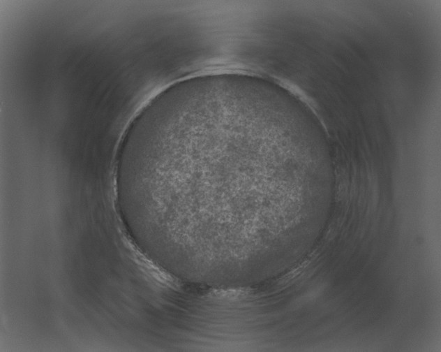 X0000067491415200604211647