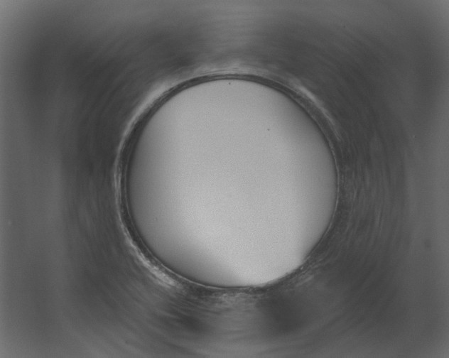 X0000067491416200604211647