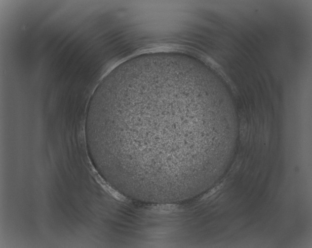 X0000067491417200604211647