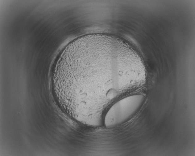 X0000067491419200604211647