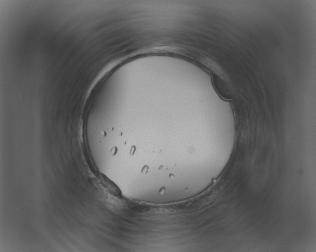 X0000067491420200604211647