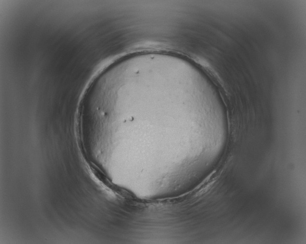 X0000067491421200604211647