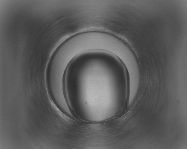 X0000067491422200604211647