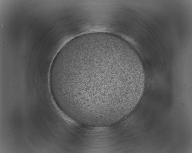 X0000067491423200604211647