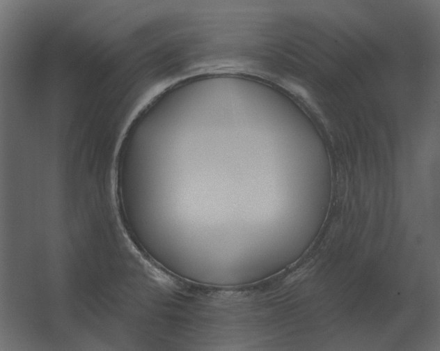 X0000067491424200604211647