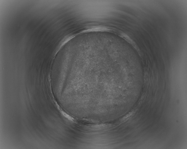 X0000067491425200604211647