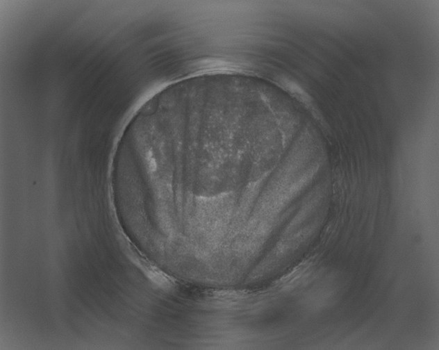 X0000067491427200604211647