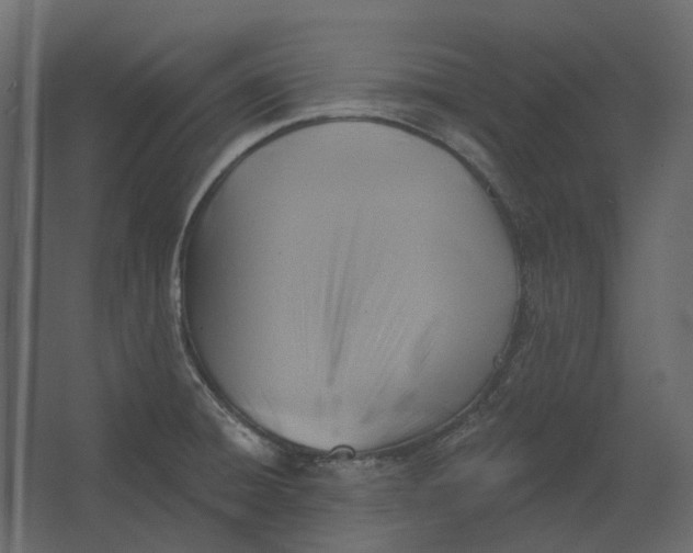 X0000067491428200604211647