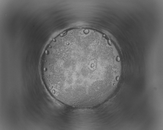 X0000067491429200604211647