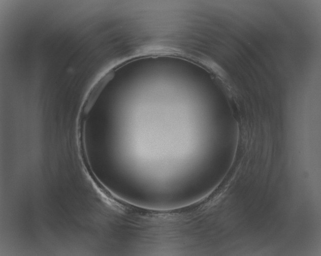 X0000067491430200604211647