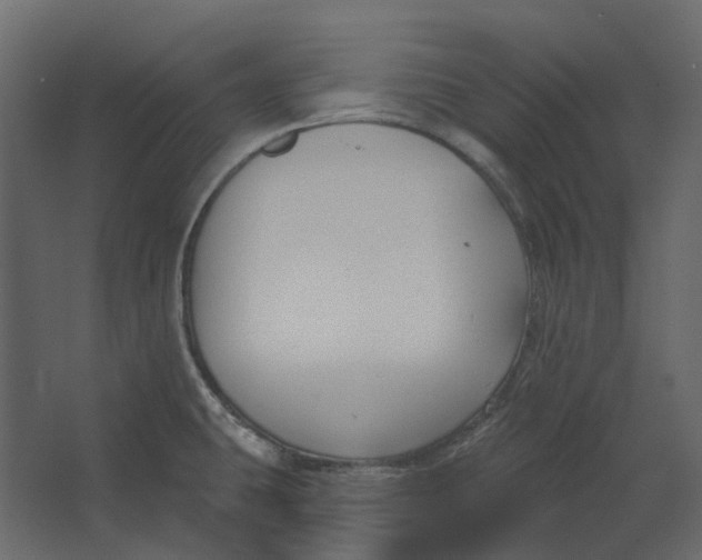 X0000067491431200604211647