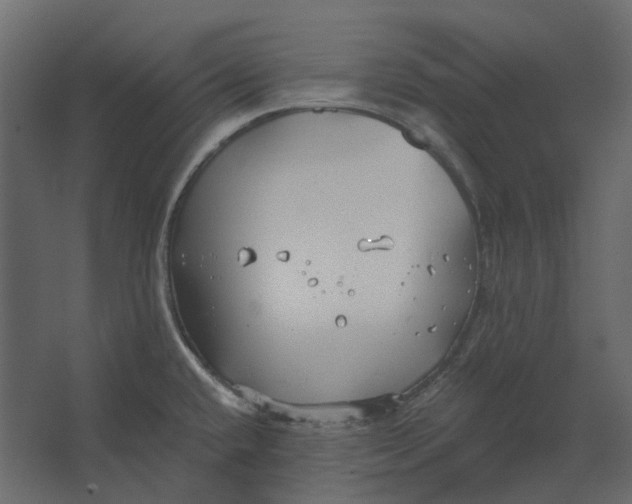 X0000067491432200604211647