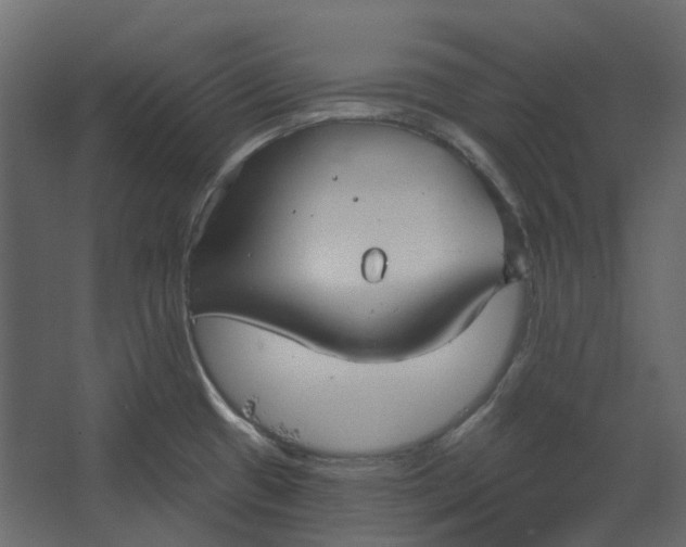 X0000067491433200604211647