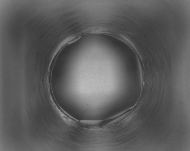 X0000067491434200604211647