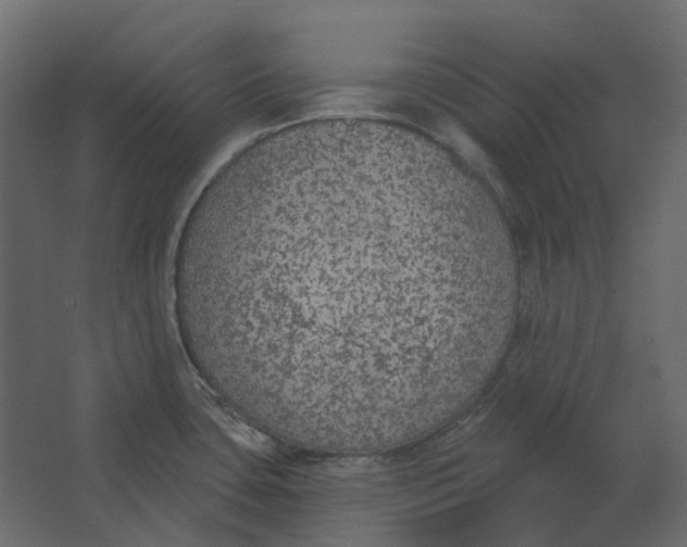 X0000067491435200604211647